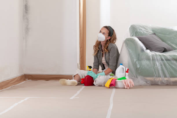 Reliable Mold Testing contractor in Ekron, KY by WQB Mold Removal